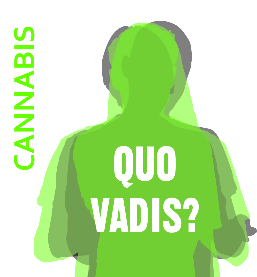 Bild CANNABIS – QUO VADIS? Ausleihbare Methodenbox zur Prävention von Cannabiskonsum für Jugendliche
